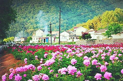 铜陵凤凰山风景区