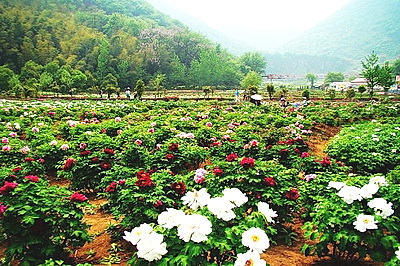 铜陵凤凰山风景区