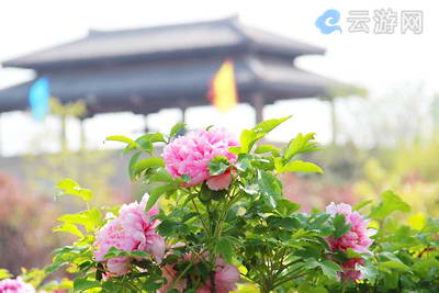 合肥三国新城遗址公园
