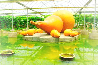 芜湖大浦乡村世界