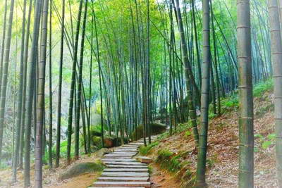 六安龙井沟景区