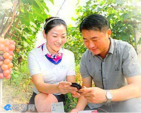 四方湖水海葡萄园