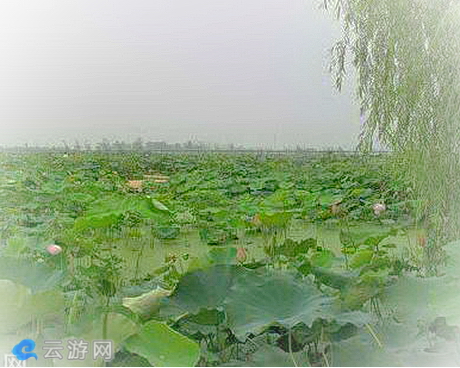 龙栖地湿地公园/安徽建华生态湿地