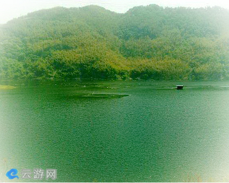 大别山第一竹海