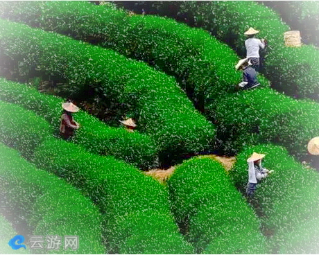 石台醉山野度假区