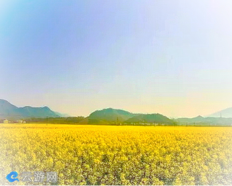 石台醉山野度假区