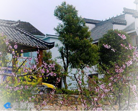 青阳齐春生态庄园