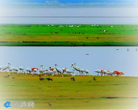 桐城嬉子湖景区
