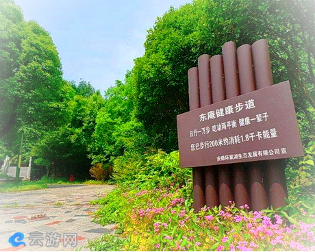 巢湖东庵森林公园