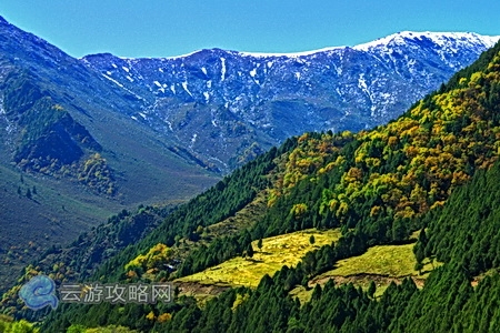 海东互助北山