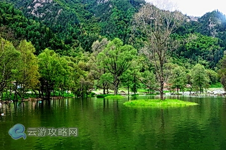 海东互助北山