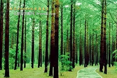 5A级景区：吉林省敦化市六鼎山文化旅游区-云旅游攻略网-www.lvyOugl.com