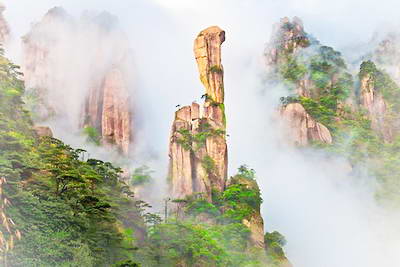 巨蟒出山位于南清园北部，三清山标志性景观