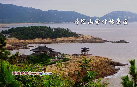 普陀山紫竹林景区
