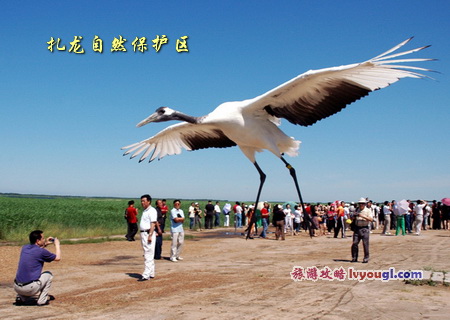 扎龙自然保护区