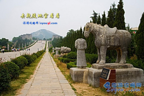 去乾陵地宫看看