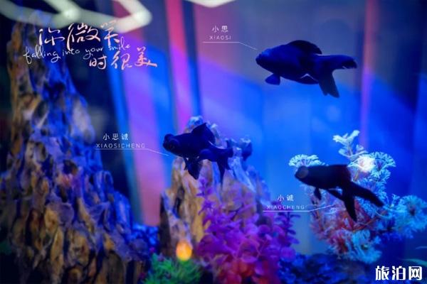 你微笑时很美在哪里开拍-播出时间 你微笑时很美在哪里开拍-播出时间