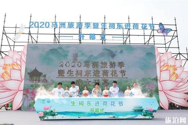 2020靖江东进荷花节时间和地址
