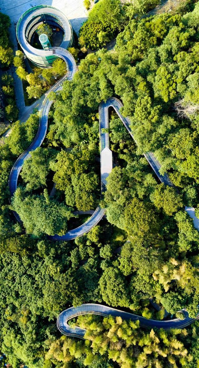 福道那个入口景色好 福道入口推荐 福道那个入口景色好 福道入口推荐