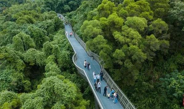 福道那个入口景色好 福道入口推荐 福道那个入口景色好 福道入口推荐
