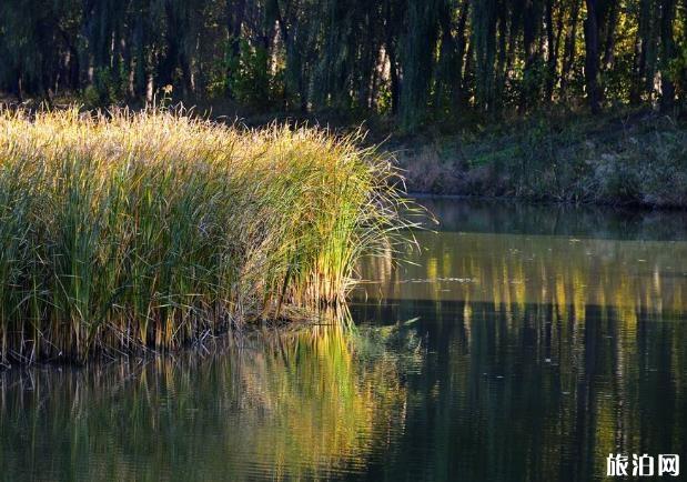 汉石桥湿地公园好玩吗 北京汉石桥湿地公园攻略 汉石桥湿地公园好玩吗 北京汉石桥湿地公园攻略