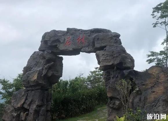 咸宁通山龙隐山旅游度假风景区2020年8月17日开启 咸宁通山龙隐山旅游度假风景区2020年8月17日开启