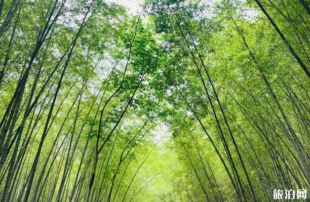 穹窿山游玩攻略 穹窿山怎么玩 穹窿山游玩攻略 穹窿山怎么玩
