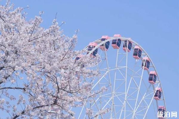 2020武汉东湖之眼摩天轮开放时间及票价 2020武汉东湖之眼摩天轮开放时间及票价