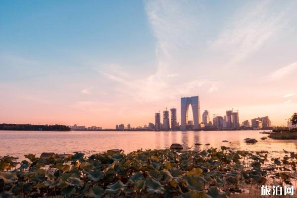 2020苏州夜集市新增摆摊位及摆摊报名指南 2020苏州夜集市新增摆摊位及摆摊报名指南