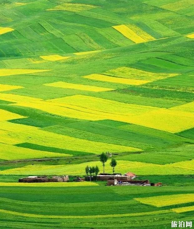 适合8月份旅游的地方有哪些 适合8月份旅游的地方有哪些