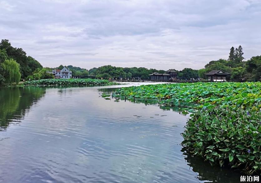 杭州西湖有哪些景点好玩 西湖必去打卡景点推荐 杭州西湖有哪些景点好玩 西湖必去打卡景点推荐