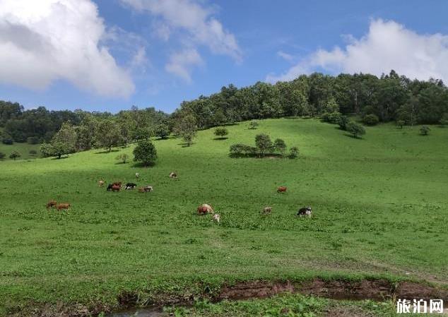 关山草原到大水川最佳路线 关山草原到大水川最佳路线