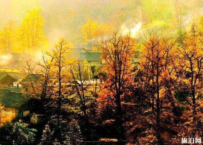 六盘水市有什么好玩的景点 六盘水市有什么好玩的景点