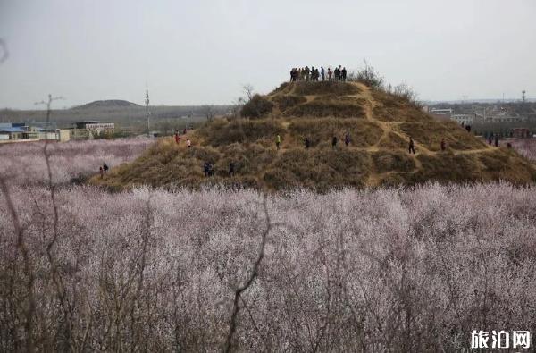 西安明十三陵遗址简介 西安明十三陵遗址简介