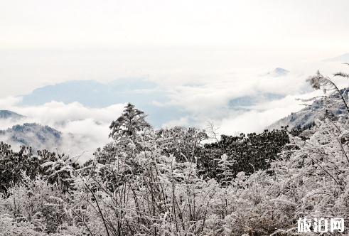 西岭雪山夏天去好玩吗 西岭雪山夏天去好玩吗