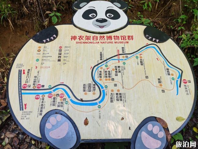 2020年神农架旅游攻略详细版 神农架怎么玩 2020年神农架旅游攻略详细版 神农架怎么玩
