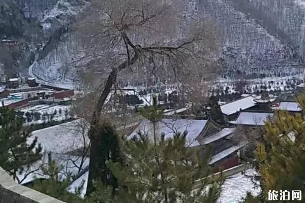 五台山旅游观后感 五台山旅游观后感