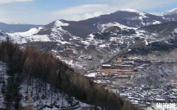 五台山旅游观后感 五台山旅游观后感