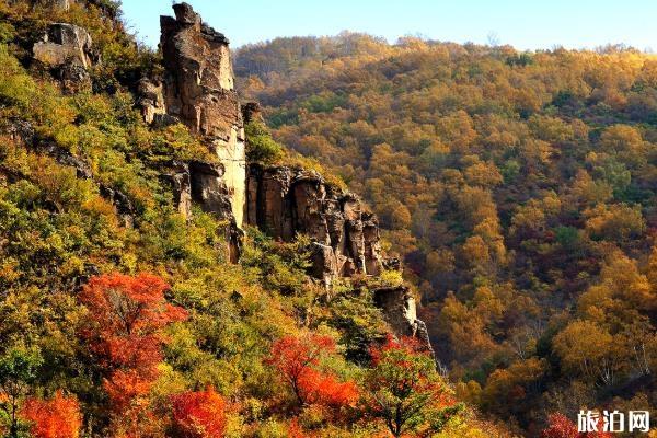黑龙山国家森林公园可以开车吗 好玩吗 黑龙山国家森林公园可以开车吗 好玩吗
