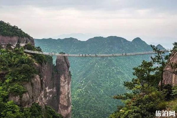 神仙居风景区旅游攻略详细版 神仙居风景区旅游攻略详细版
