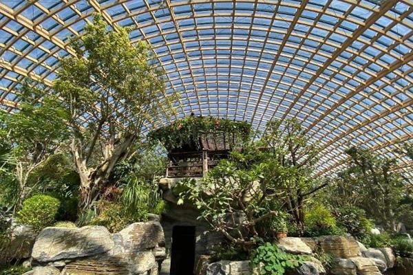 2020国庆太原植物园开放了吗 植物园预约流程及交通指南 2020国庆太原植物园开放了吗 植物园预约流程及交通指南