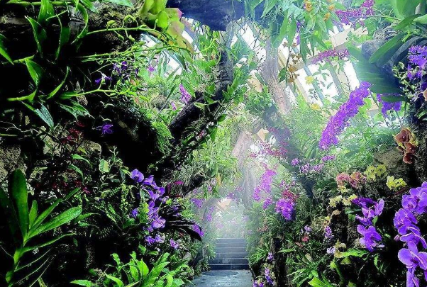 2020国庆太原植物园开放了吗 植物园预约流程及交通指南 2020国庆太原植物园开放了吗 植物园预约流程及交通指南