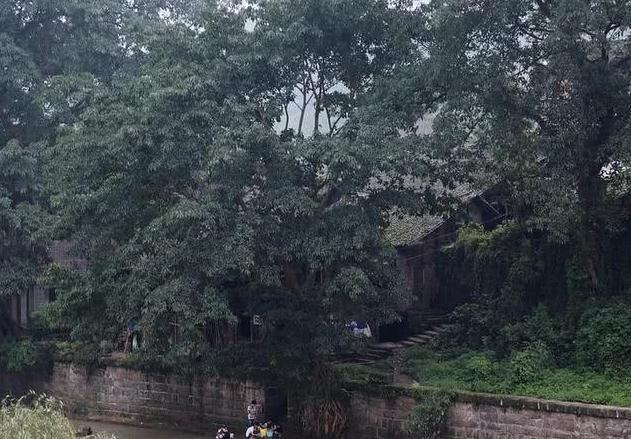 龙华古镇有什么好玩的地方