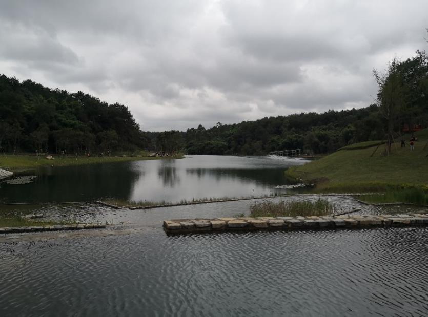 永安湖城市森林公园攻略 开放时间 永安湖城市森林公园攻略 开放时间