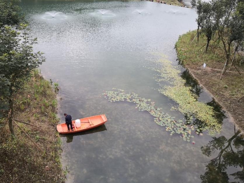 永安湖城市森林公园攻略 开放时间 永安湖城市森林公园攻略 开放时间