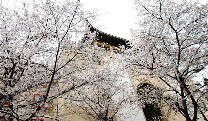 未标题-2.jpg