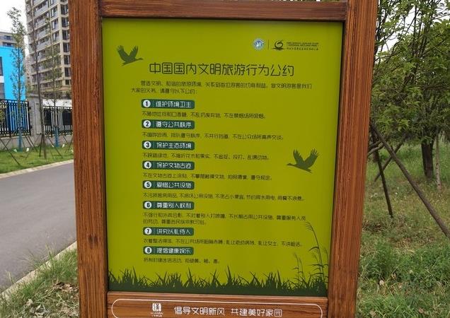 1587116421965150.jpg 2.jpg