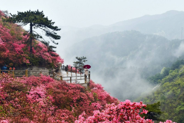 微信截图_20200514180505.png