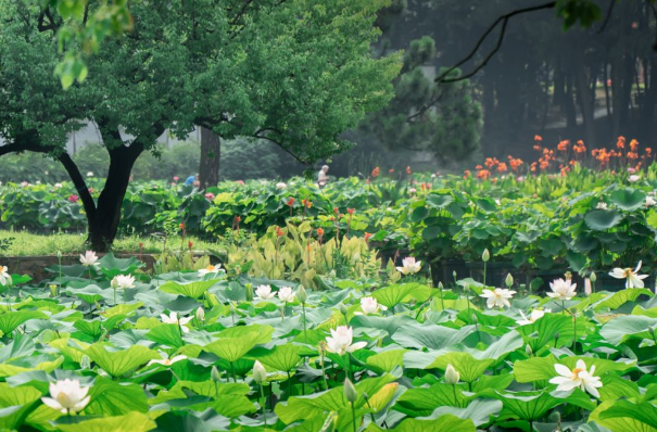微信截图_20200514180505.png