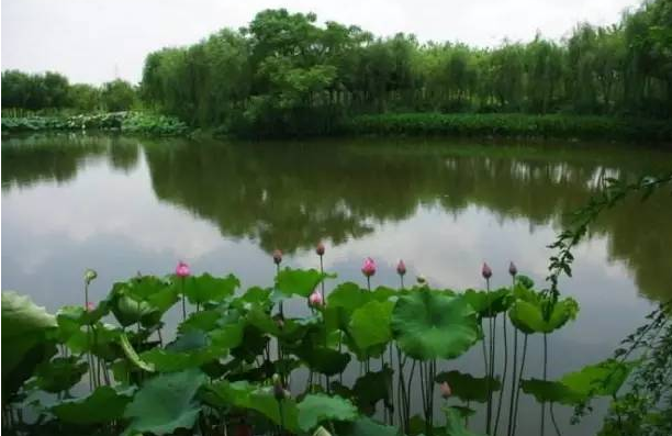微信截图_20200514180445.png